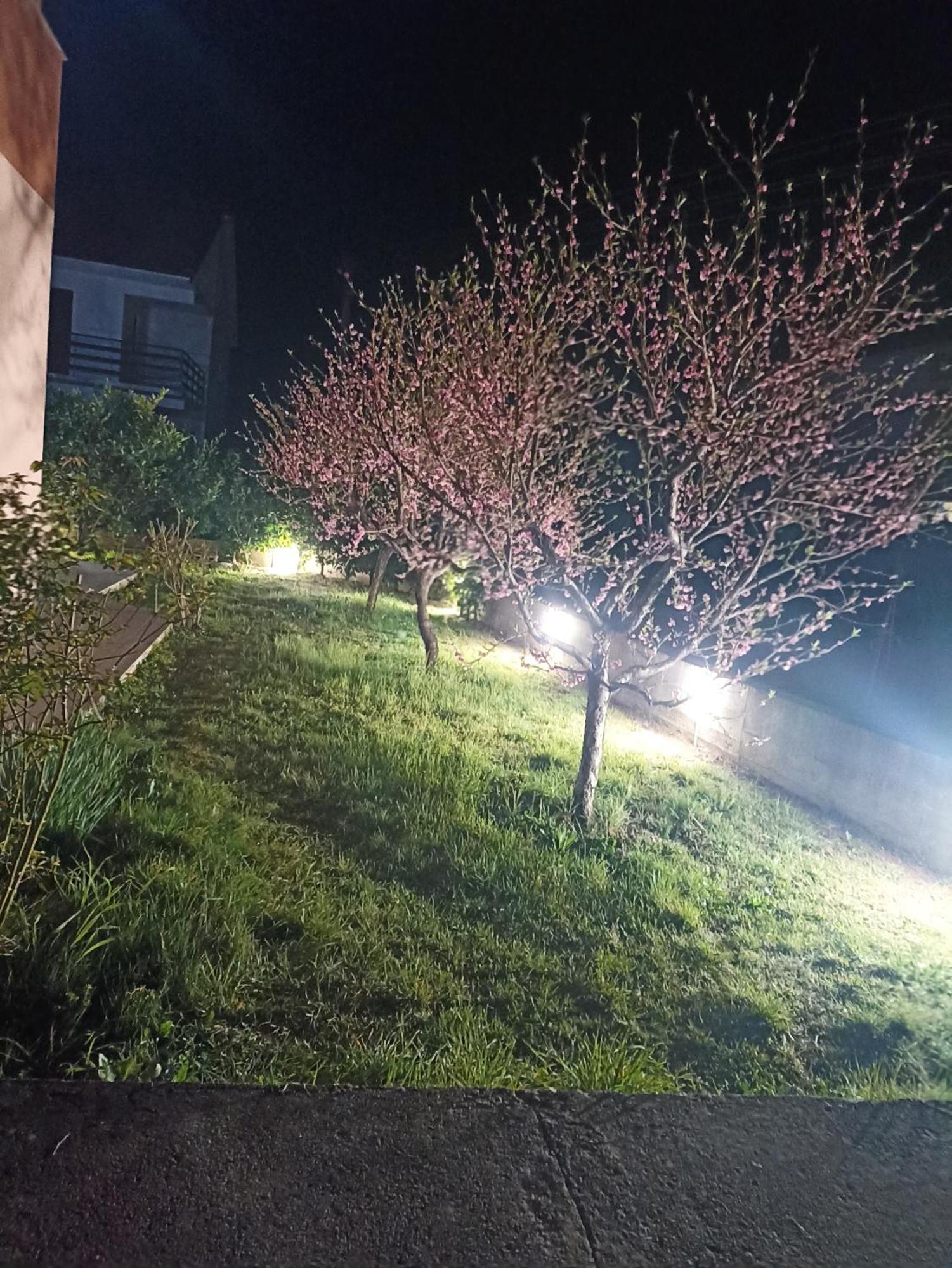 Apartmani Slado Trebinje Exteriör bild